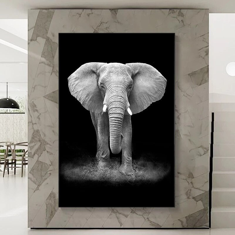 Affiche d'éléphant Animal noir et blanc